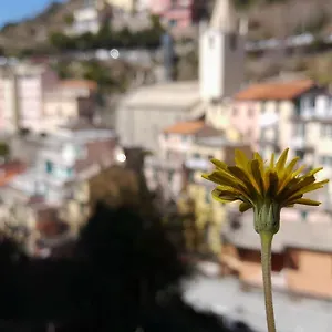 casa-vacanze-riomaggiore.hotelitalianriviera.com/